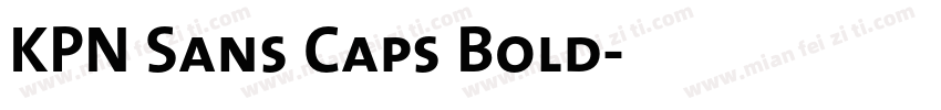 KPN Sans Caps Bold字体转换